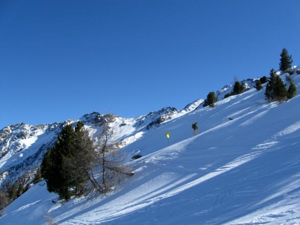 Oberhalb der Meranzalpe. Der Gipfel genau oberhalb des Baumes ist die Glanderspitze.