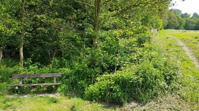 Das Bankerl "Die Faschinger Rast"