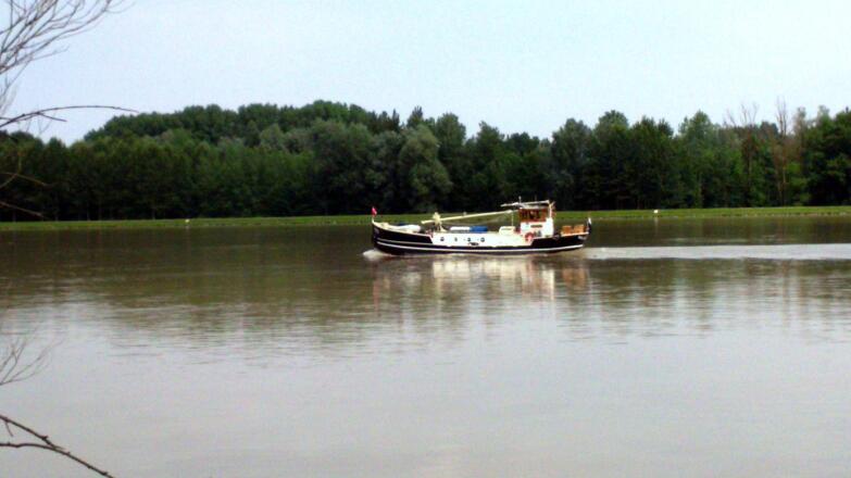 Radweg R1 an der Donau