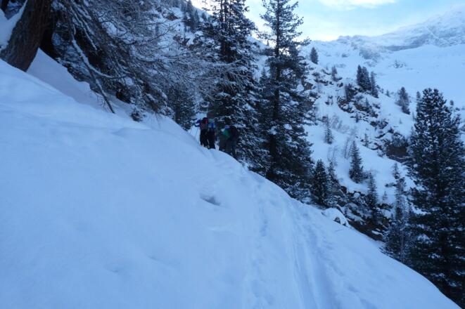 Im steilen Waldabschnitt.