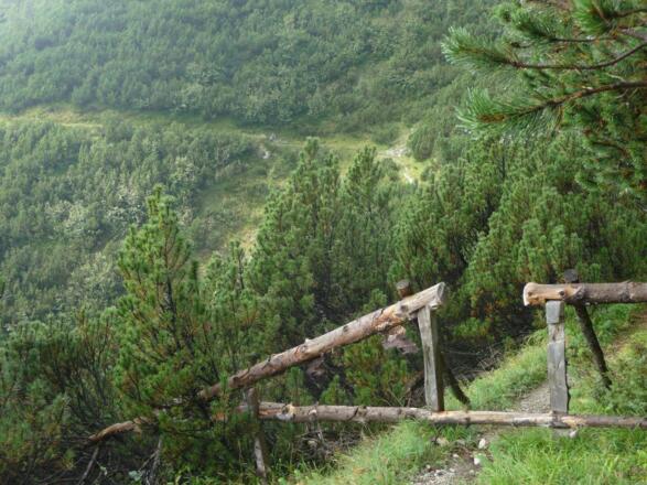 kurz vor der Achselbodenalm