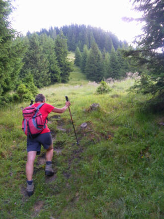 Almwiesen auf Höhe Kasereck