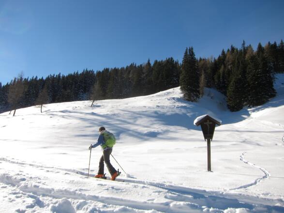 Beim Wegkreuz verlassen wir  den Weg zu Niedererbergalm und steigen rechts (in westlicher Richtung) durch Lichtungen aufwärts.