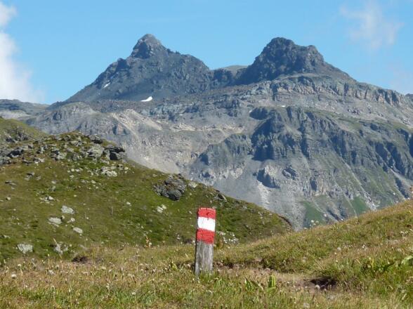 Geier und Reckner