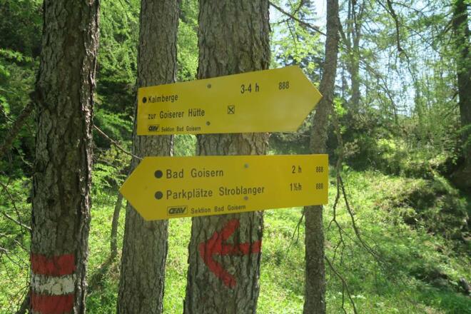 Nach dem Zwölferkogel wäre ich fast falsch abgestiegen, hatte eine Latschengasse übersehen. Hier bin ich bei der Tiefen Scharte, ab nun markiert