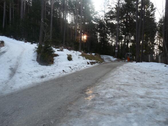 Ausgangspunkt ist das LKH Hochzirl.