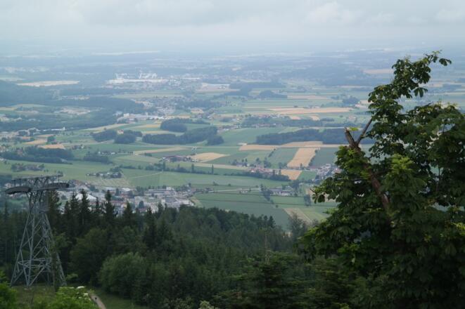 Ausblick vom Grünberg ins oberösterreichische Alpenvorland.