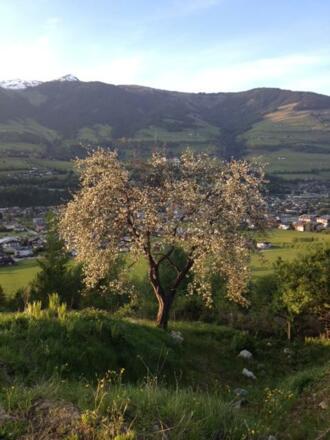 Die Schönheiten der Natur entdecken ...