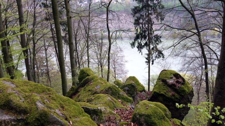 Hochpunkt am Prinzensteig um 345m