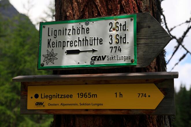 Ende des Forststraßenhatschers: Ab hier geht's am Wanderweg weiter
