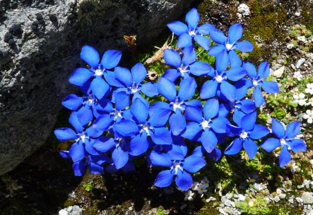 Ruhepunkt für die Augen