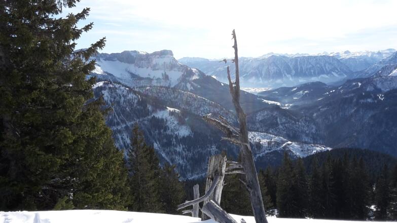 Gipfelblick