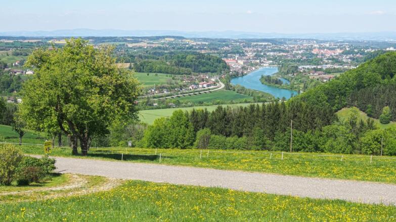Auch von der Oberdambachstraße findet man schöne Ausblicke hinunter nach Garsten und Steyr.