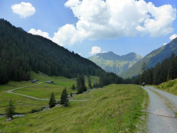 Hinteres Silbertal im Europaschutzgebiet Verwall