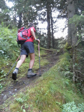 steile Bergwaldpfade