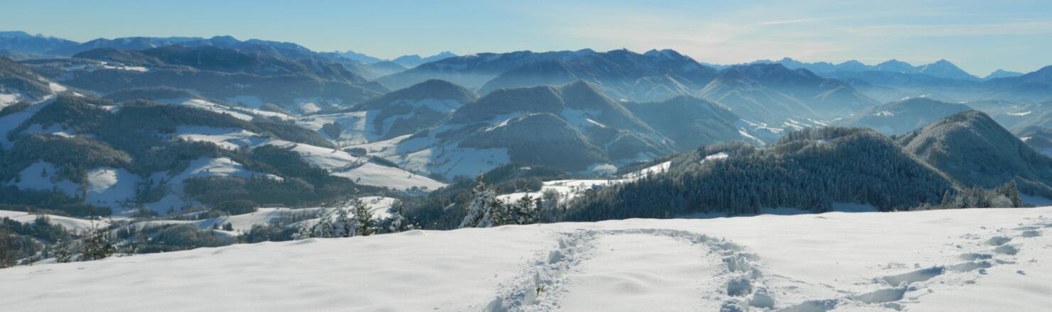 Blick vom Vorgipfel: Gesäuse und Haller Mauern