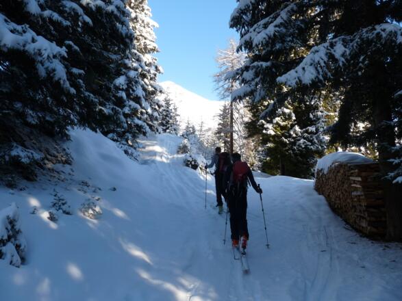 Hier zweigen wir linkerhand von der Forststraße ab und hier treffen wir auch auf die Anstiegsroute vom Parkplatz/Grünhöfe.