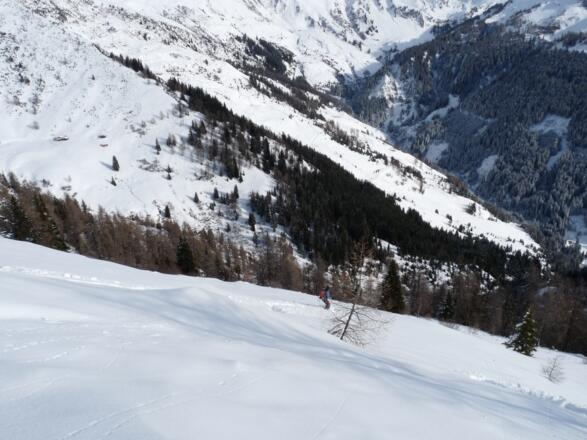 Nach dem Wetterkreuz geht durchwegs steil in Richtung Waldgrenze.
