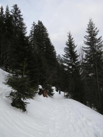 Vom Talende geht es wieder recht eben bis zur Bärgunthütte.