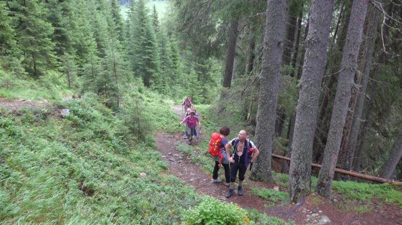 Wegpassage zur Lappachalm