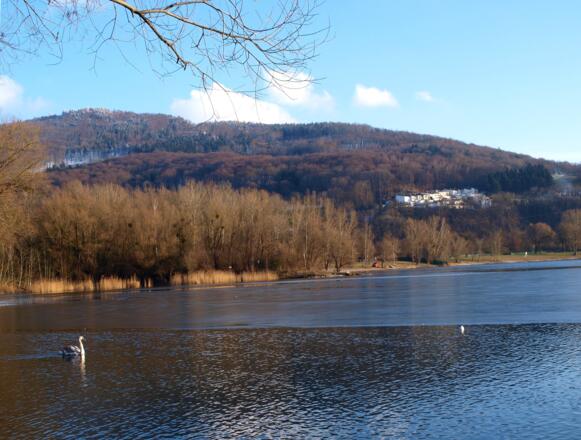 Am Pleschingersee ~260m