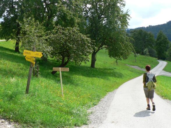 Auf einer wenig befahrenen Straße bis zur &quot;Riegler Seff&quot; am Weg Nr. 13