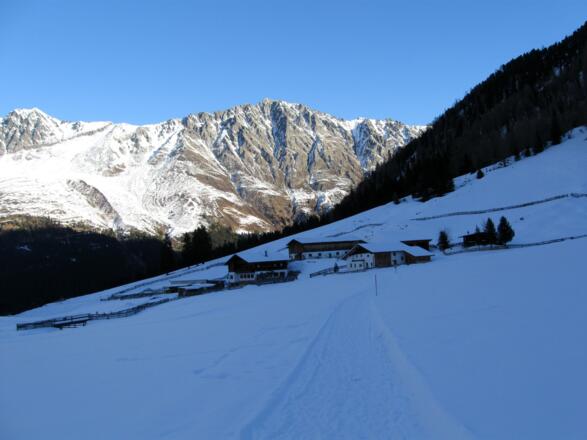 Rückblick zur Gleirschalm. Hinten der "Haggener Sonnberg" mit Peiderspitze und Seejoch.