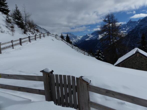 Bei einer kleinen Hütte münden wir in den Güterweg ein, ...