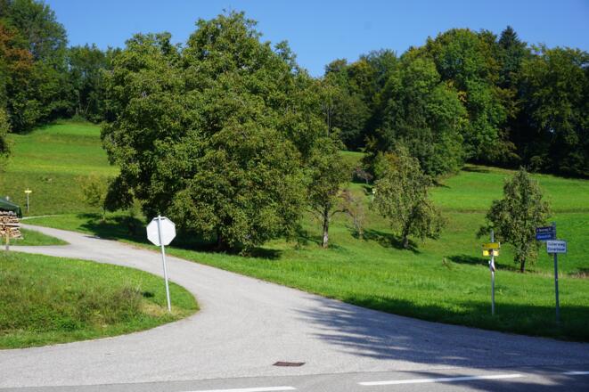 Abzweigung nach 100m auf der Bundesstraße