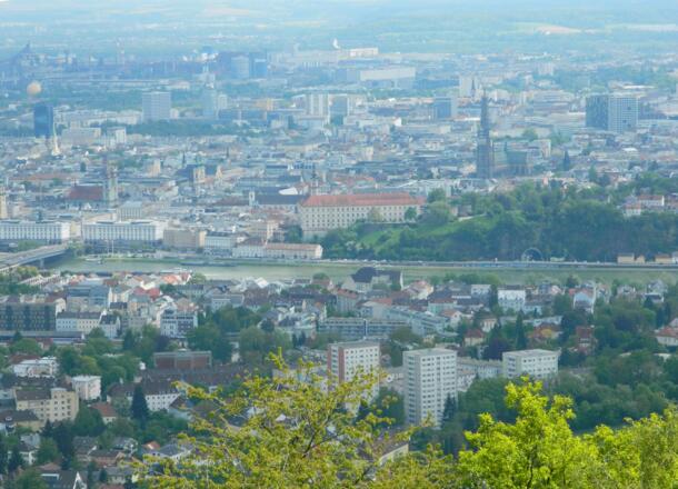 scharfer Blick nach Linz