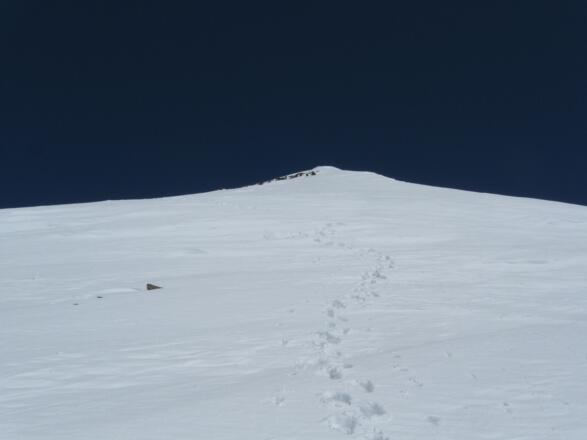 ... stapfend den direkten Weg über den steilen Südhang zum Gipfel nehmen, oder ...