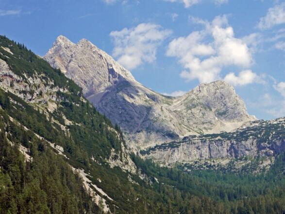 Der Große und der kleine Hundstod