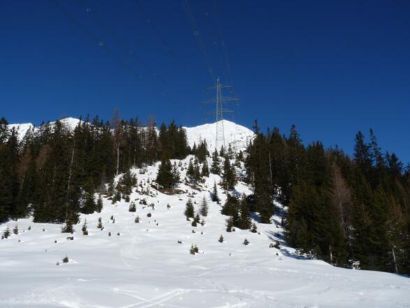 Unter der Starkstromleitung geht es durch die Schneise bergan.