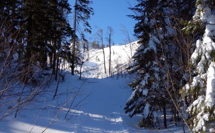 Im Graben bergan ~1130m bis 1250m