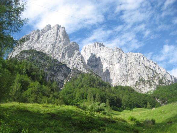 Im Kaiserbachtal (3. Juni 2011)