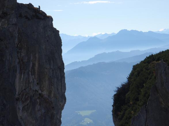 Rabe am Hochkogelsteig in der Früh