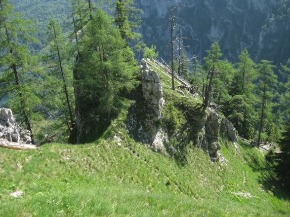 Die sehr steile Grasrampe