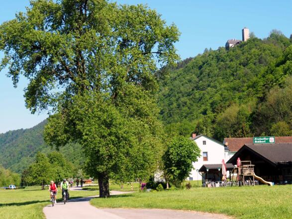 Freizell 285m am Donauradweg mit Schloß