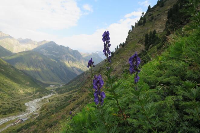 Startpunkt der Tour links unten im Hintergrund beim Berghof Steinbock mit den Parkplätzen. Vom Berghof Steinbock in 30 Minuten zur Gletscherstube und kurz danach zur Materialseilbahn der Braunschweigerhütte. Dort beginnt der eigentliche Jägersteig.
