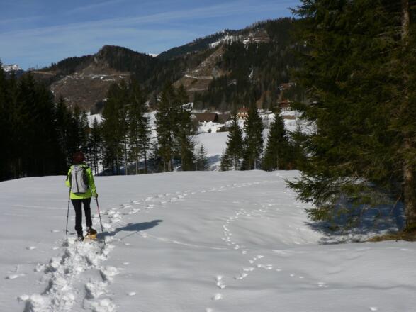 In einem weiten Linksbogen, die Häuser immer zur linken Hand, ziehen wir unsere Spur