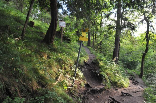Links geht es zum Herndlersteig, wir halten uns hier gerade aus
