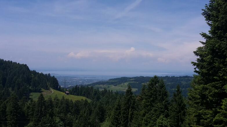 Blick auf den Bodensee kurz vor der Berchtoldshöhe