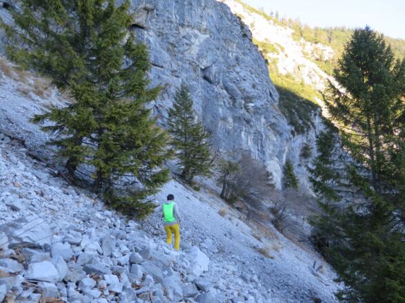 Kurz vor der "Nassen Wand", die auch als Rastplatz perfekt geeignet ist (wenn die Steinböcke Platz machen ;-)).