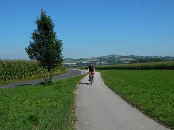 Radler im Machland Süd