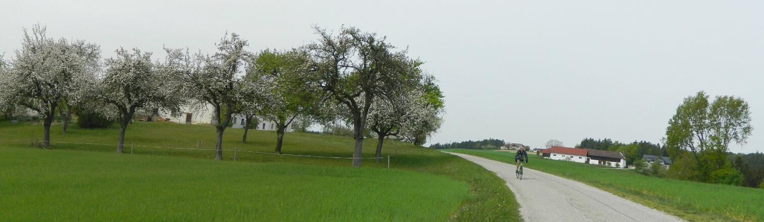 Abfahrt zur Naarn