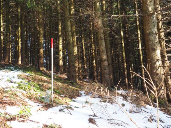 Abstieg entlang der Grenzstangen, 1083m bis 1010m