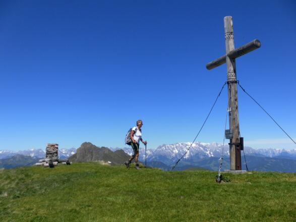 Reißrachkopf