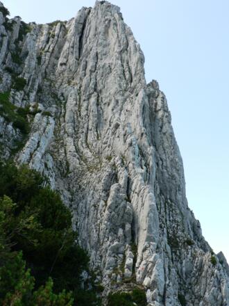 Blick hinauf