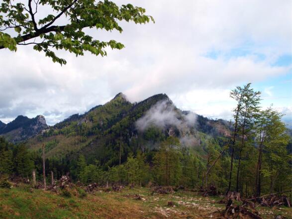 Blick zum Steineck beim Durchgang