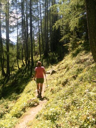 Gipfelwald